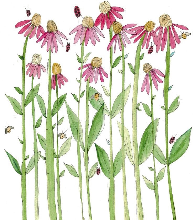 Coneflowers - drawstring bag