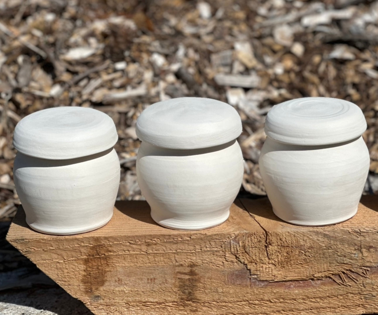 Bisque fired Pet Urns ready to personalize