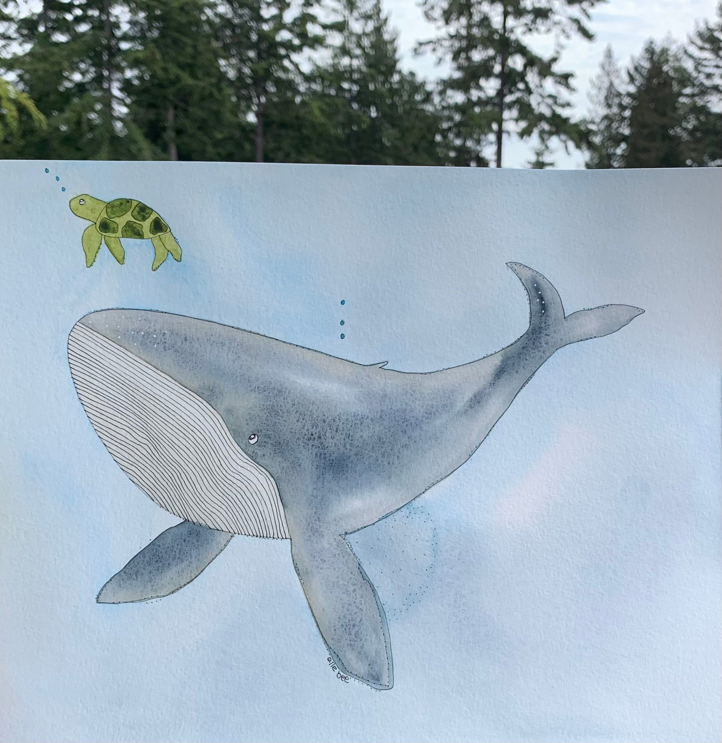 Original watercolour “Blue whale & Turtle” unframed