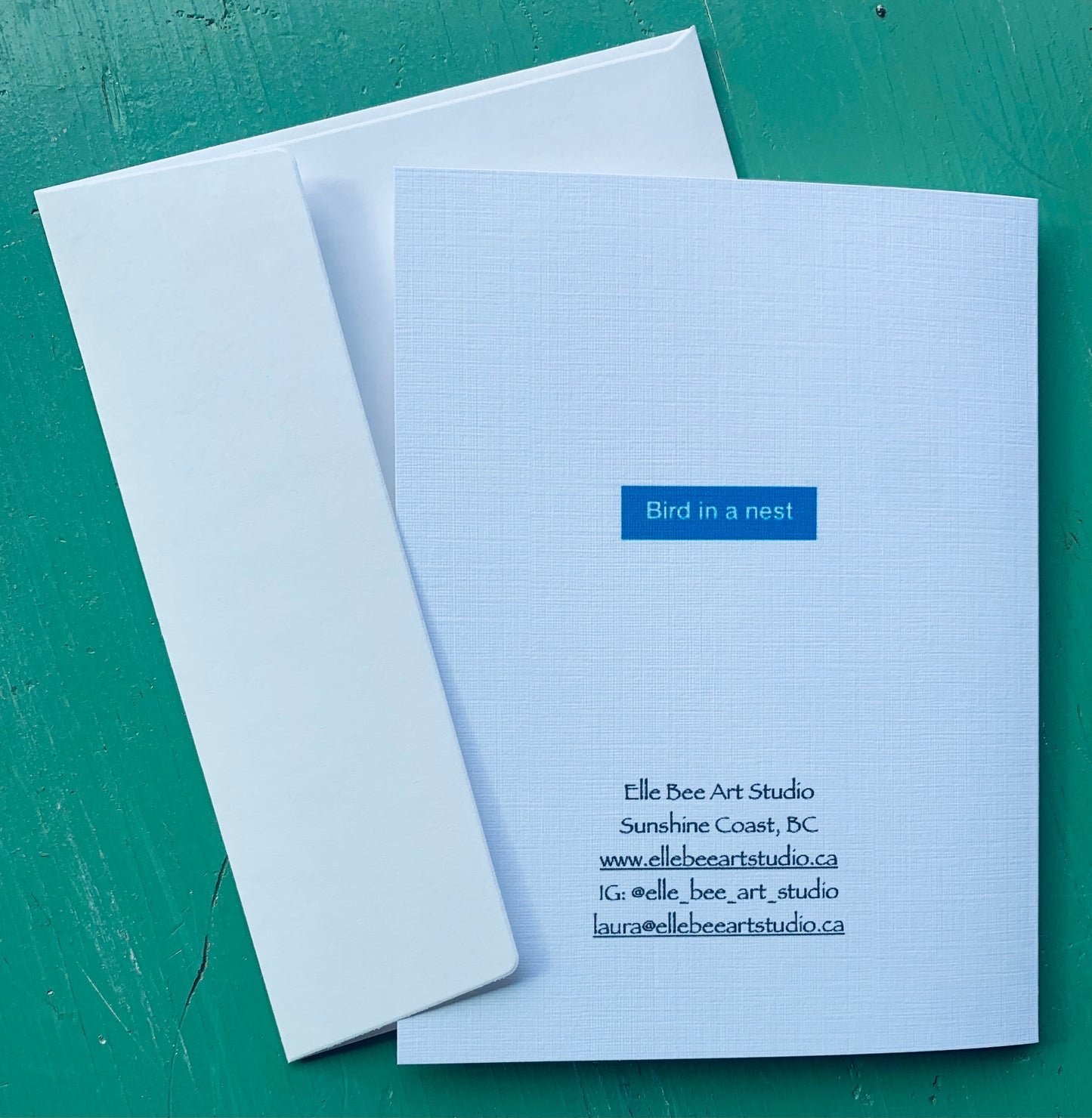 "Bird in a Nest" greeting card