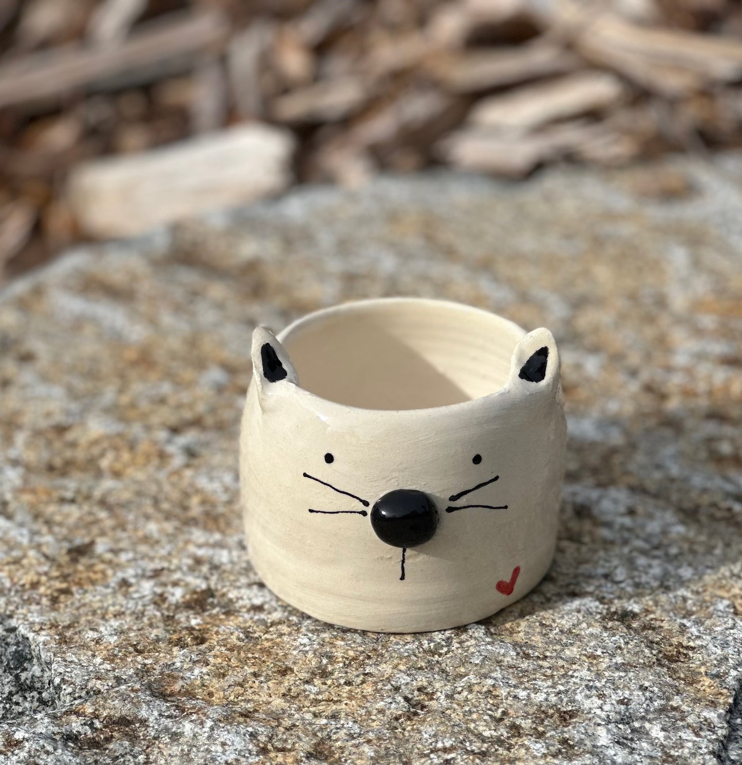 Kitty hugs planter