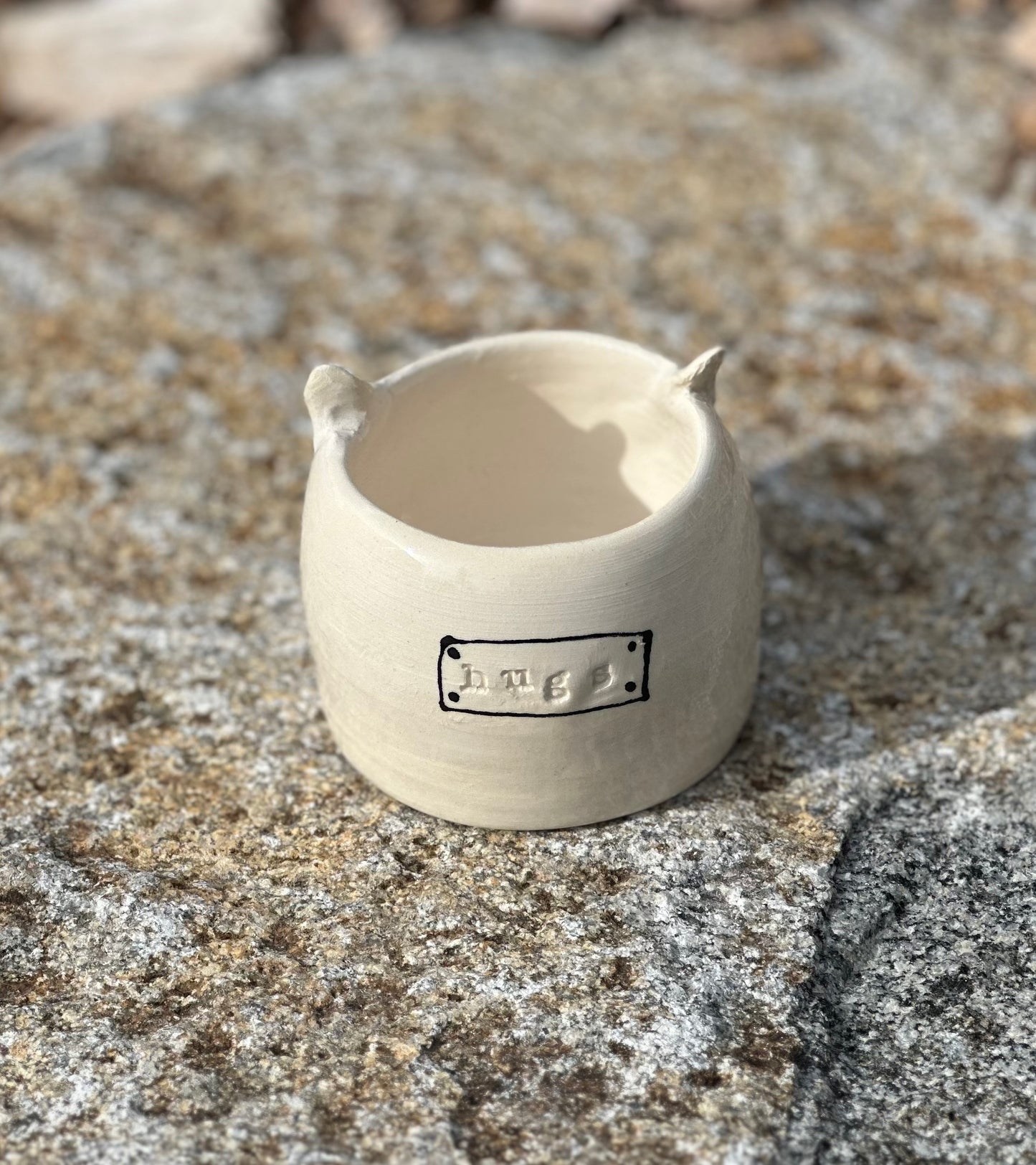 Kitty hugs planter