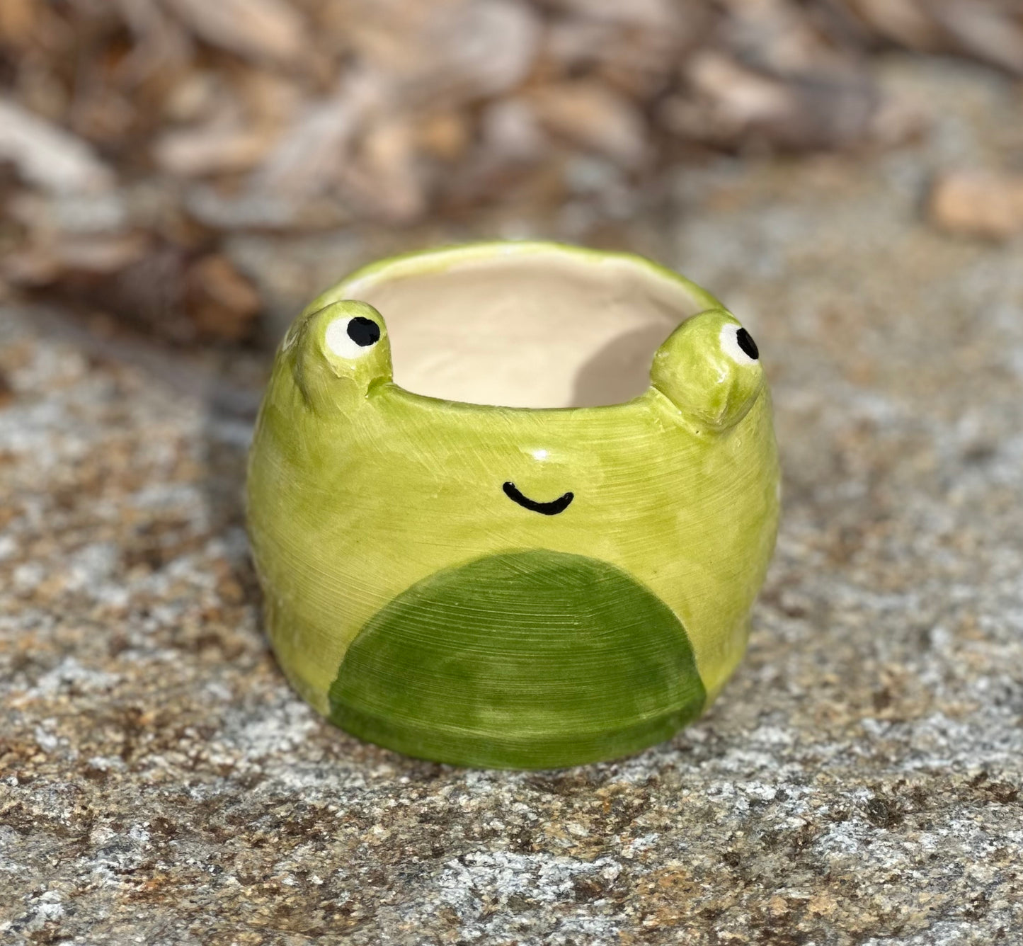 Frog hugs planter