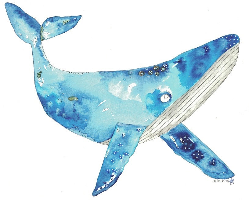 Blue Whale greeting card
