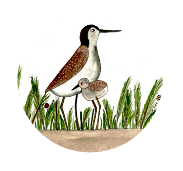 “Sandpiper family” round sticker pack of 12