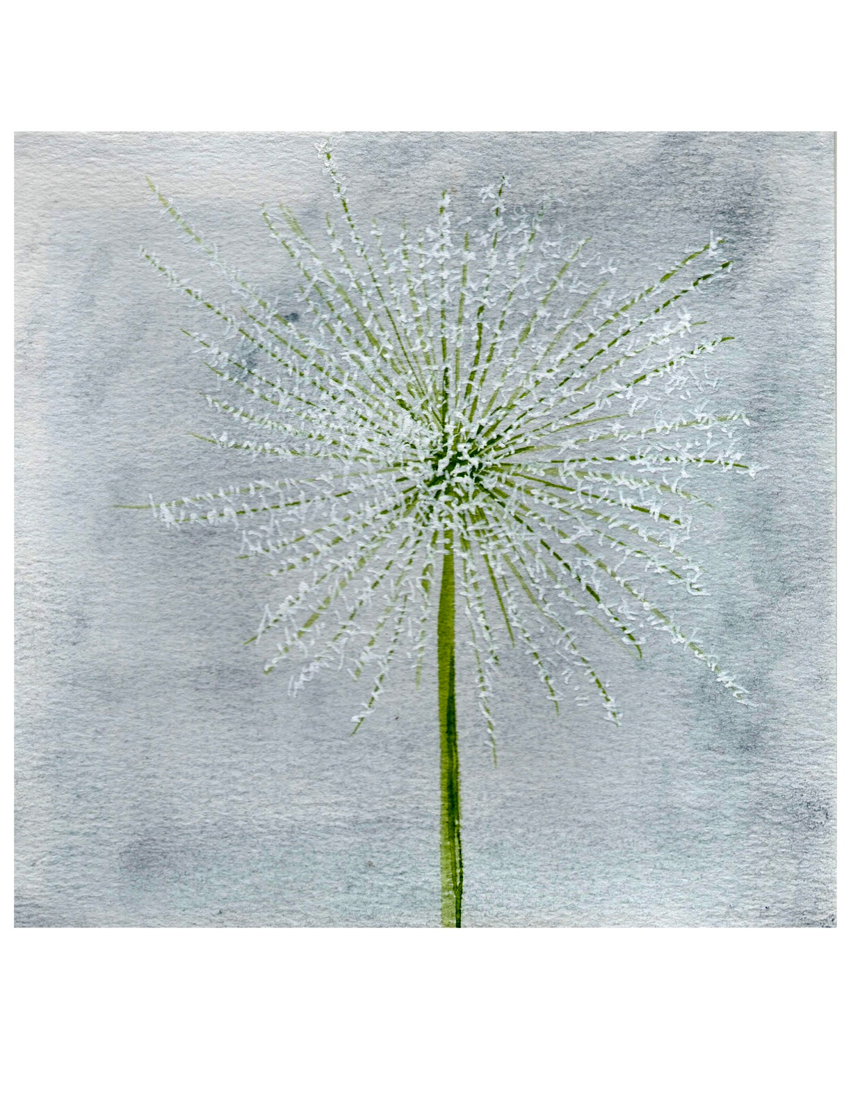 "Dandelion Wishes" framed print 8" x 8"
