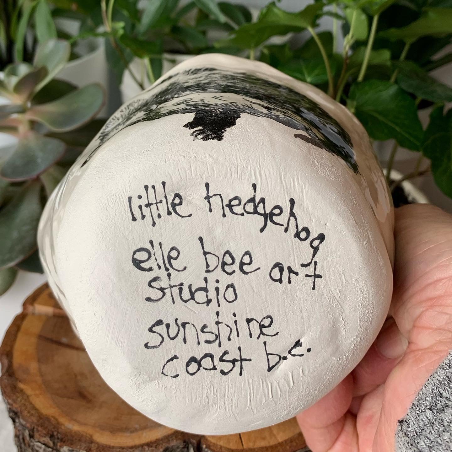 "Little Hedgehog" bowl
