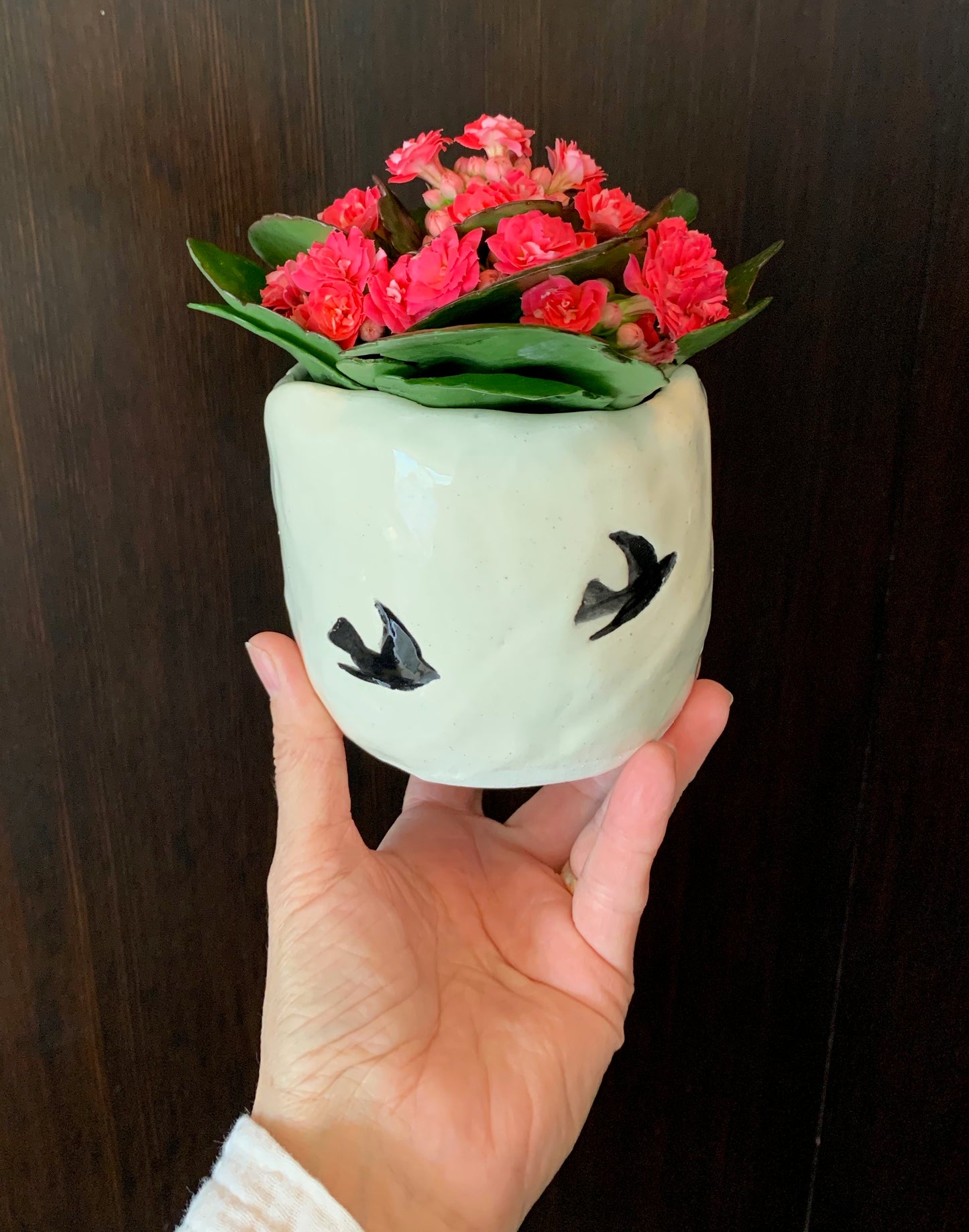 Blackbird 3.5" planter/pot
