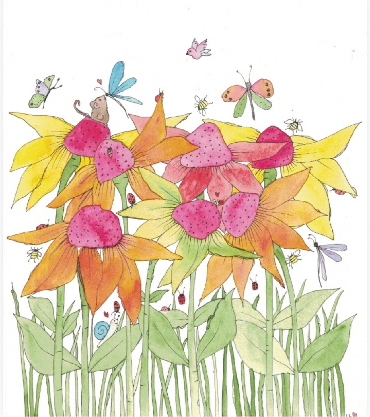 Orange & Yellow Daisies greeting card