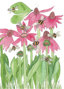 "Echinacea and Bees” greeting card