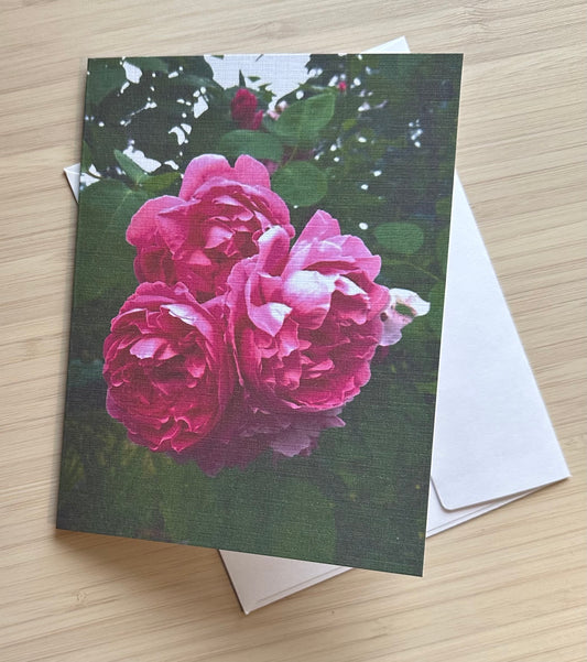 Pink Peony photo greeting card