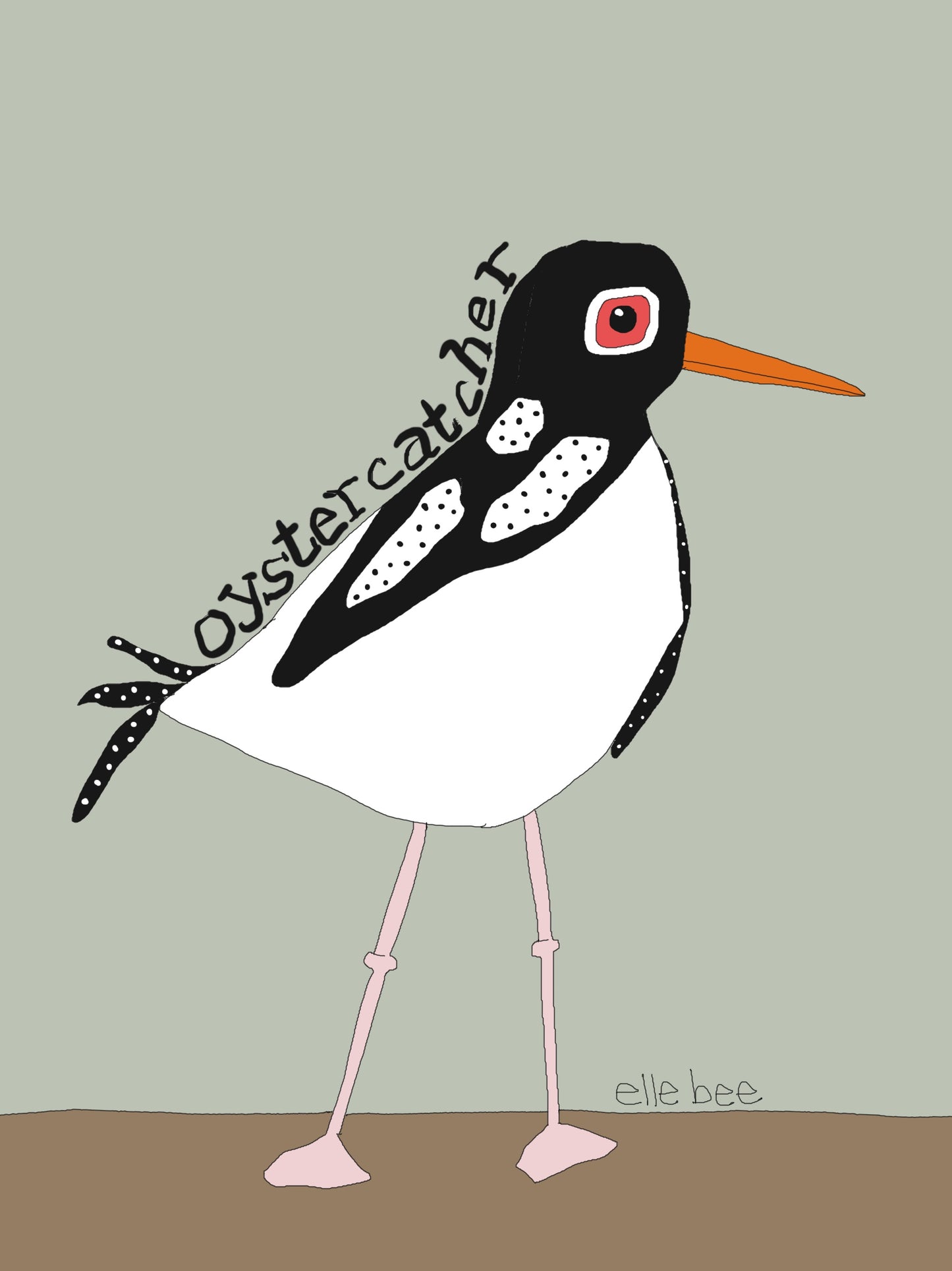 Oystercatcher greeting card