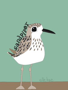 Sandpiper greeting card