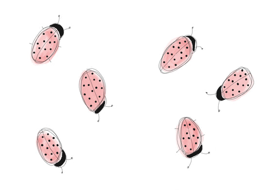 Ladybugs greeting card