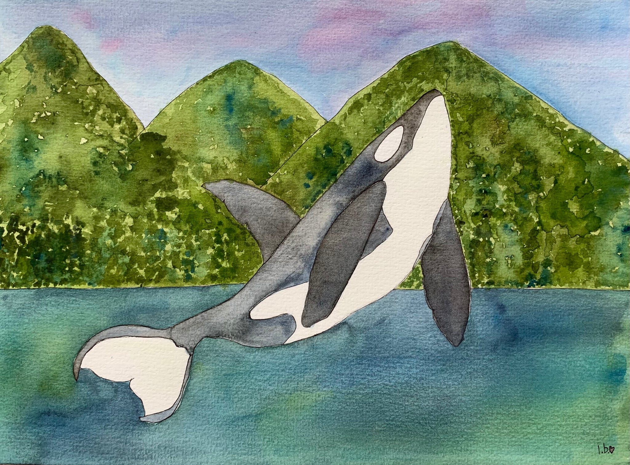 Original watercolour “Sunshine Coast Orca” unframed