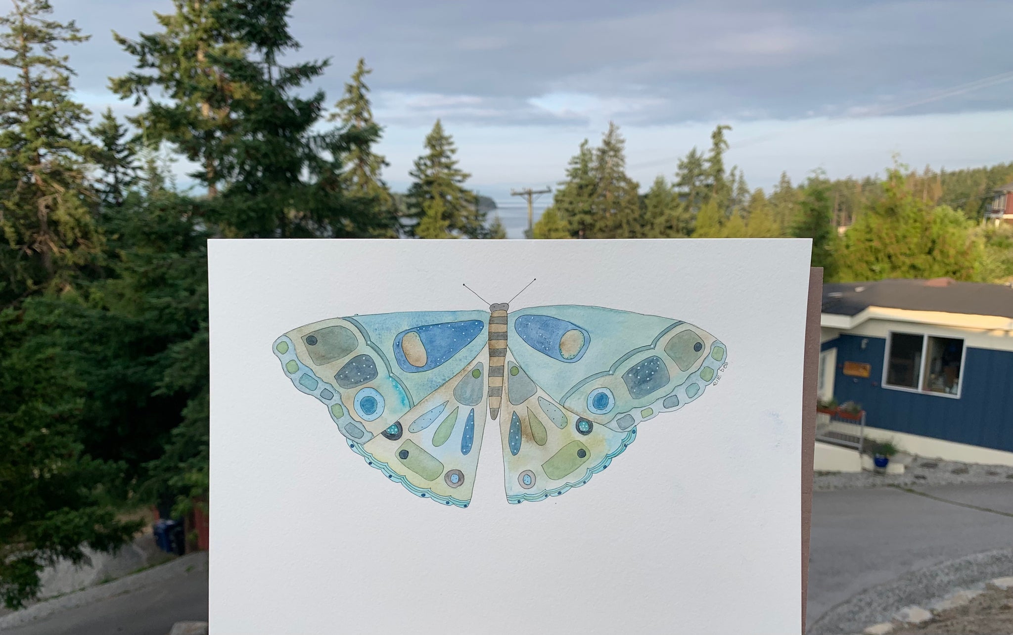 "Blue Tiger Moth" original watercolour