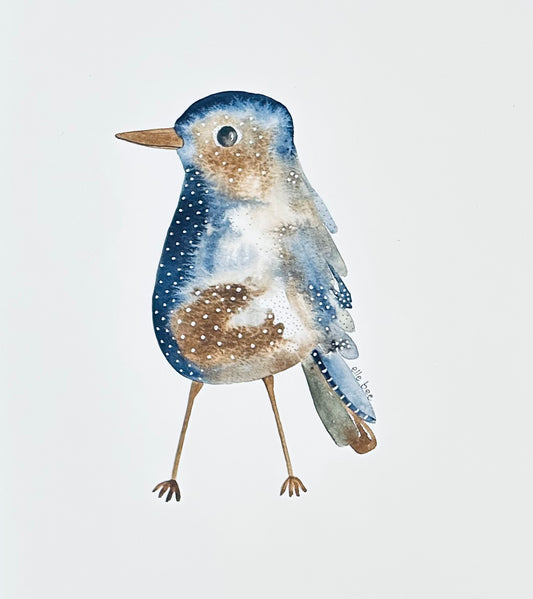 Eastern Bluebird Original watercolour