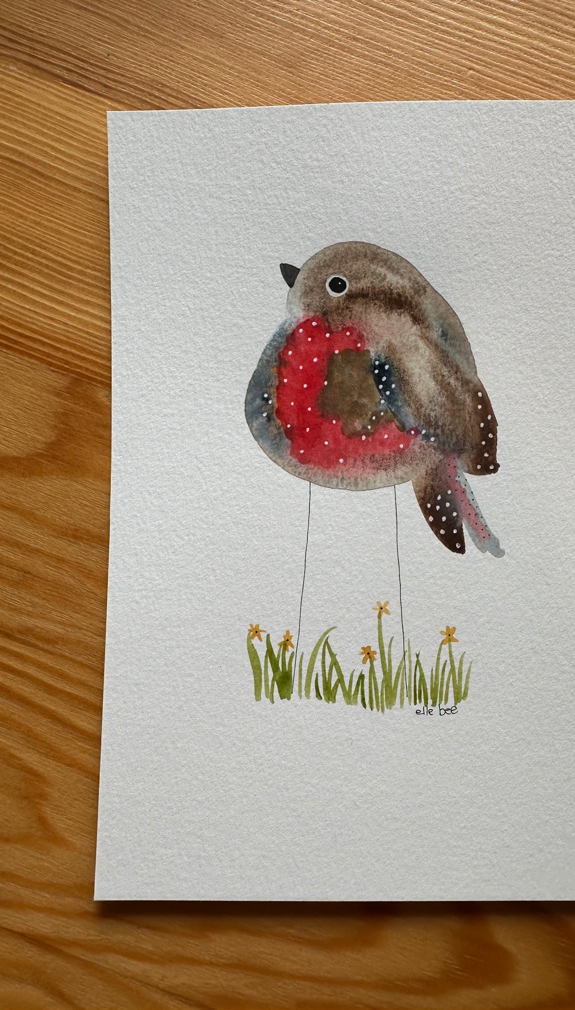 "Red Robin in the Daisies” original watercolour