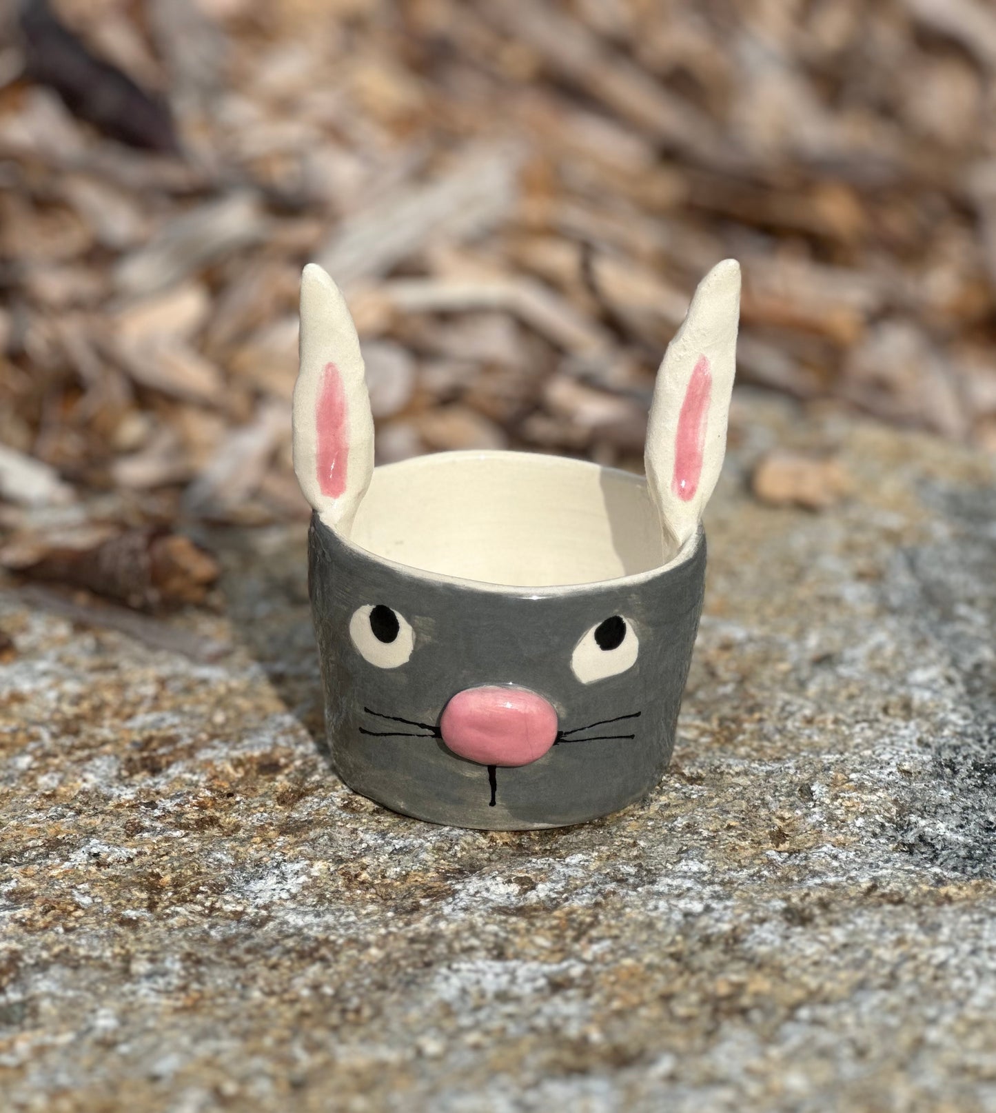 Grey Bunny hugs planter