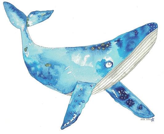 Blue Whale greeting card