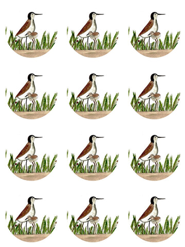 “Sandpiper family” round sticker pack of 12