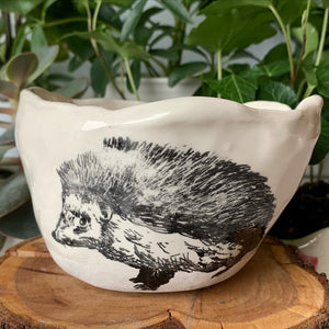 "Little Hedgehog" bowl