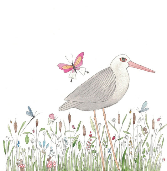Black Oyster Catcher Greeting Card