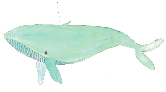 Greeting card "Green Whale"