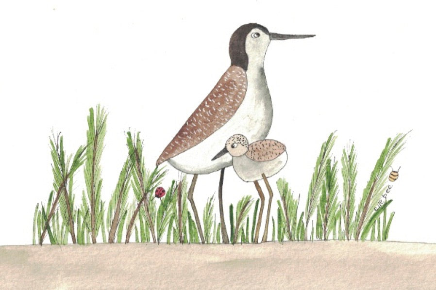 Greeting card "Sandpiper family at the beach"