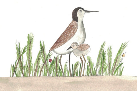 Greeting card "Sandpiper family at the beach"