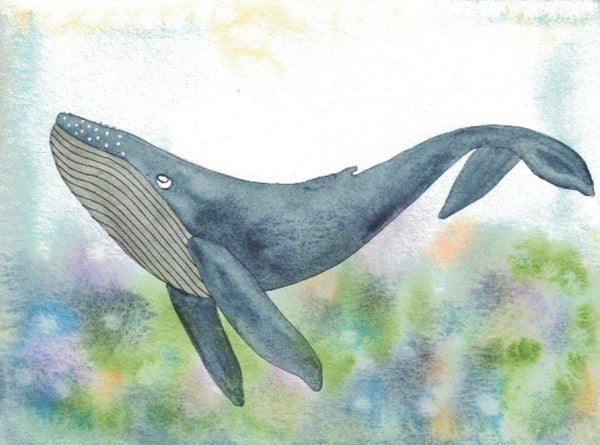 Greeting card "Blue whale in the coral"